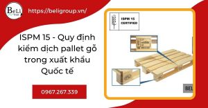 ISPM 15 - Quy định kiểm dịch pallet gỗ trong xuất khẩu Quốc tế