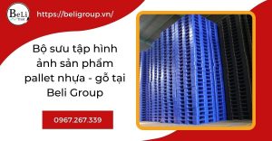 Bộ sưu tập hình ảnh sản phẩm pallet nhựa - gỗ tại Beli Group