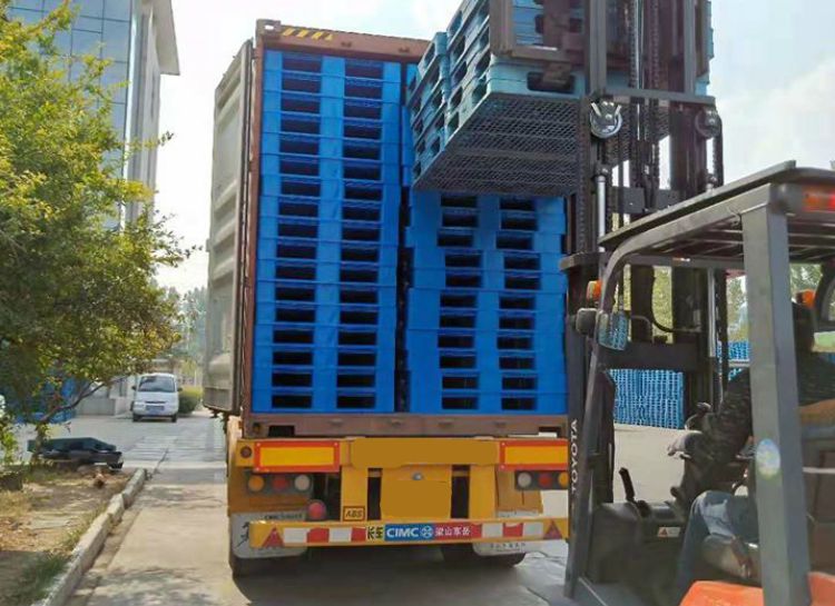 pallet nhựa đạt chuẩn xuất khẩu