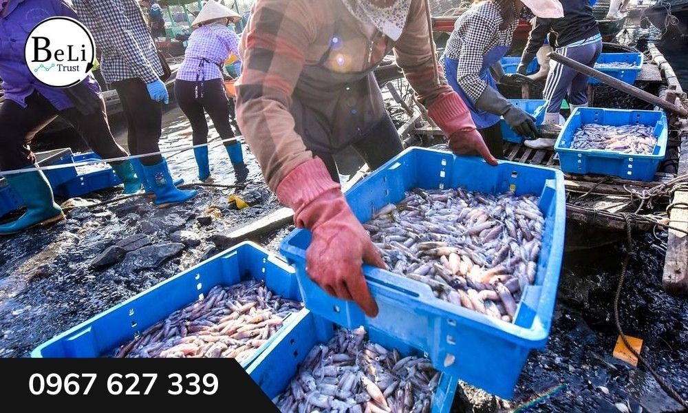 Ứng dụng của sóng nhựa đặc